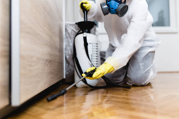 Trusted New Bedford, PA Pest Control Experts