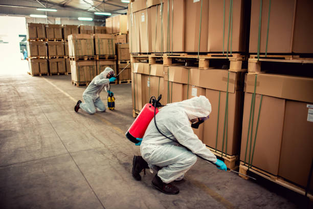 Best Affordable Pest Control Services  in New Bedford, PA
