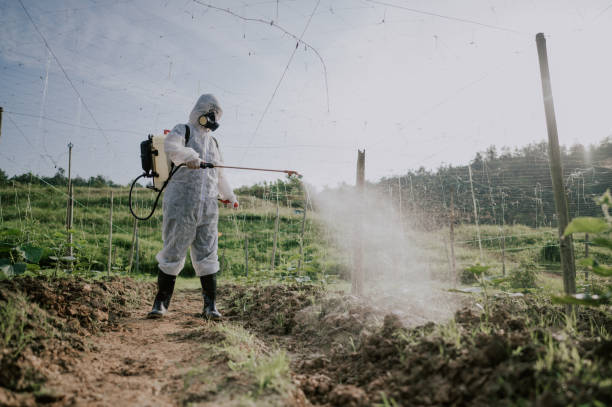 Best Best Pest Control Companies  in New Bedford, PA