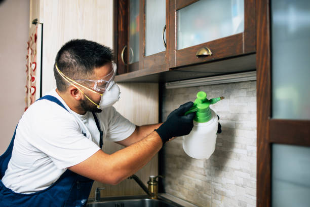  New Bedford, PA Pest Control Pros