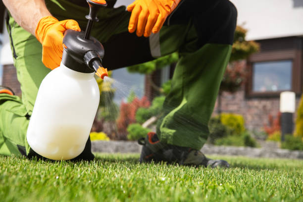 Best Best Pest Control Companies  in New Bedford, PA