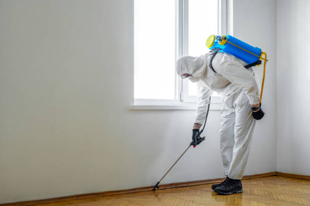 Best Pest Control Near Me in New Bedford, PA