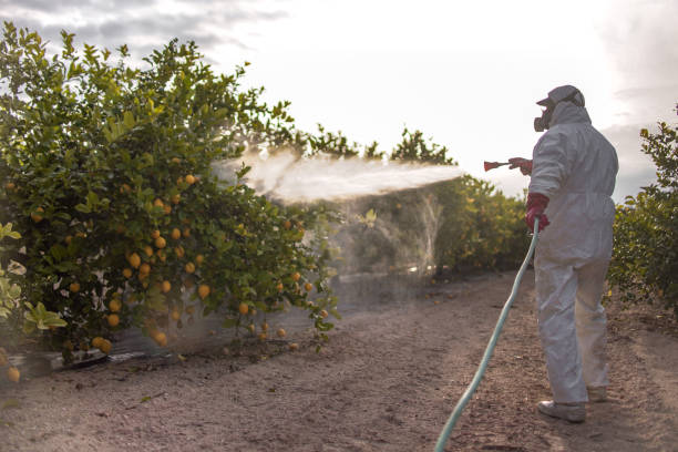 Best Pest Inspection Near Me  in New Bedford, PA