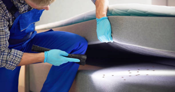 Best Flea Control Services  in New Bedford, PA