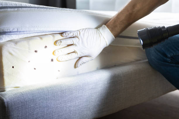 Best Cockroach Control Services  in New Bedford, PA
