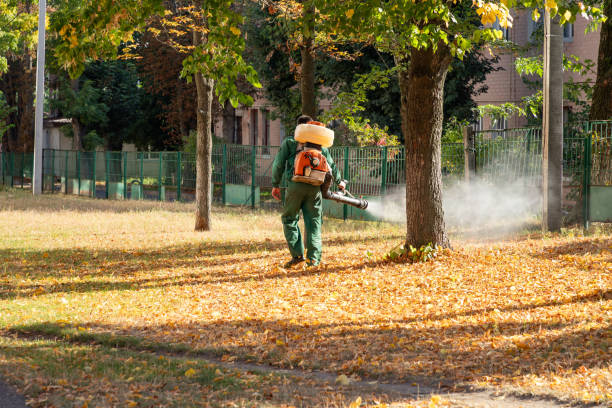 Best Residential Pest Control  in New Bedford, PA