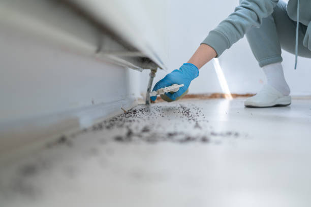 Best Pest Control Cost  in New Bedford, PA