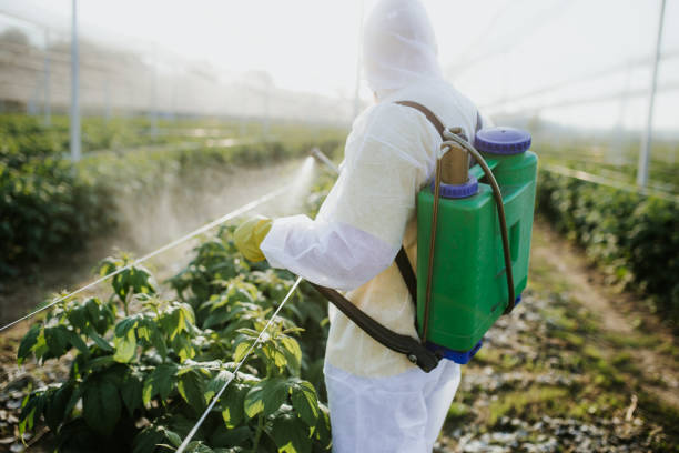 Best Emergency Pest Control  in New Bedford, PA